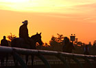 Go for the Gold - By Lenny Shulman