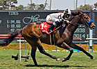 Whatsthescript Runs Big in Return Race Whatsthescript Runs Big in Return Race