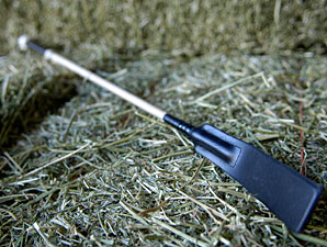 BHA Amends New Whip Rules After Outcry BHA Amends New Whip Rules After Outcry