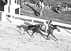 Triple Crown Heroes: Whirlaway