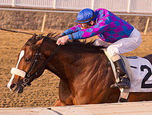 Whiskey Romeo Goes for Grade in Jersey Shore Whiskey Romeo Goes for Grade in Jersey Shore