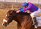 Whiskey Romeo Goes for Grade in Jersey Shore Whiskey Romeo Goes for Grade in Jersey Shore