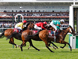 Wizz Kid Stops Mayson in Prix de l'Abbaye Wizz Kid Stops Mayson in Prix de l'Abbaye