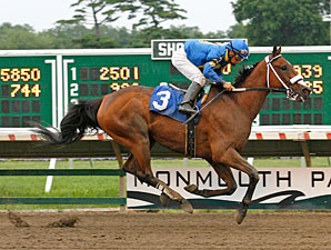 Jersey-Bred Who's the Cowboy a Millionaire Jersey-Bred Who's the Cowboy a Millionaire