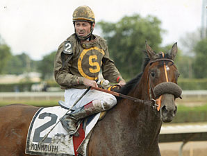 New Jersey Star Who's the Cowboy Retired New Jersey Star Who's the Cowboy Retired