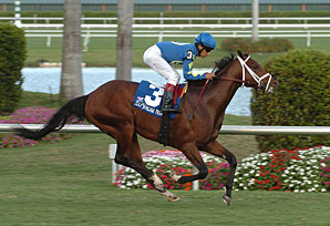 'Other' Pletcher Colt Wins at Gulf 'Other' Pletcher Colt Wins at Gulf