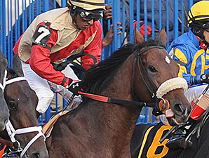 Boston Marathon Tragedy Inspires Horse Names Boston Marathon Tragedy Inspires Horse Names