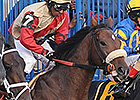 Boston Marathon Tragedy Inspires Horse Names Boston Marathon Tragedy Inspires Horse Names