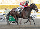 Wicked Strong Charges to Wood Memorial Score Wicked Strong Charges to Wood Memorial Score