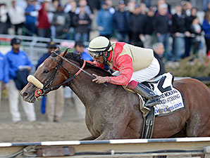 Wicked Strong Puts in Solid Breeze at Belmont Wicked Strong Puts in Solid Breeze at Belmont