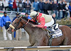 Wicked Strong Puts in Solid Breeze at Belmont Wicked Strong Puts in Solid Breeze at Belmont