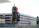 Wicked Strong to Train at Belmont for Derby Wicked Strong to Train at Belmont for Derby