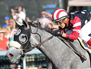 Alcibiades Winners in Keeneland January Sale Alcibiades Winners in Keeneland January Sale