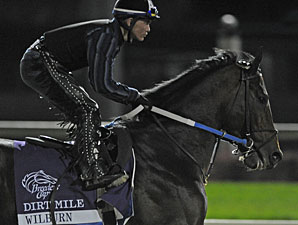 Victor's Cry, Wilburn Acquired by Spendthrift Victor's Cry, Wilburn Acquired by Spendthrift