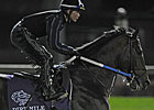Victor's Cry, Wilburn Acquired by Spendthrift