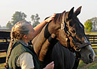 Vincent Timphony, Trained Wild Again, Dies Vincent Timphony, Trained Wild Again, Dies