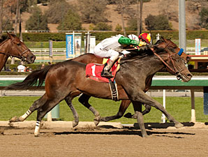 Wild Dude Posts Palos Verdes Upset Wild Dude Posts Palos Verdes Upset