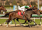 Wild Dude Posts Palos Verdes Upset Wild Dude Posts Palos Verdes Upset