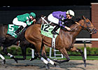 Wild Gams Takes Top Honors in NJ Wild Gams Takes Top Honors in NJ