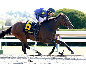 TCA, Phoenix Stakes Showcase Sprinters TCA, Phoenix Stakes Showcase Sprinters