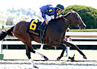 TCA, Phoenix Stakes Showcase Sprinters