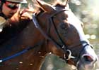 Wild Gams Rockets to Thoroughbred Club of America Win