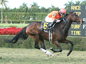 Wild Promises Wins Fifth Straight Stakes Wild Promises Wins Fifth Straight Stakes