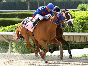 Wilcat Lily Edges Out a Win in Azalea Stakes Wilcat Lily Edges Out a Win in Azalea Stakes