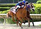 Wilcat Lily Edges Out a Win in Azalea Stakes Wilcat Lily Edges Out a Win in Azalea Stakes