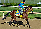 Venezuela Has Derby Hope in Wildcat Red Venezuela Has Derby Hope in Wildcat Red