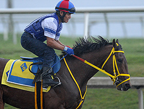 Wildcat Red Breezes, All Set for Next Start Wildcat Red Breezes, All Set for Next Start
