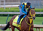 Partners Share Thrill of Breeding Derby Horse Partners Share Thrill of Breeding Derby Horse