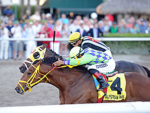 Wildcat Red, With Saez, Works at Gulfstream Wildcat Red, With Saez, Works at Gulfstream