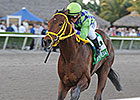 Wildcat Red Stretches Speed Toward Classics