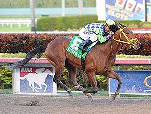 Wildcat Red Pointing for Haskell Invitational Wildcat Red Pointing for Haskell Invitational