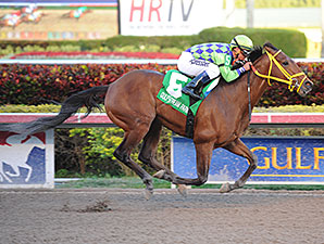 Garoffalo Dreaming Big With Wildcat Red Garoffalo Dreaming Big With Wildcat Red