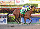 Garoffalo Dreaming Big With Wildcat Red Garoffalo Dreaming Big With Wildcat Red
