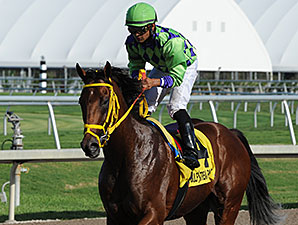 King's Bishop Likely Option for Wildcat Red King's Bishop Likely Option for Wildcat Red