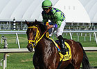 King's Bishop Likely Option for Wildcat Red King's Bishop Likely Option for Wildcat Red