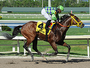 Wildcat Red Posts Bullet Breeze for Haskell Wildcat Red Posts Bullet Breeze for Haskell