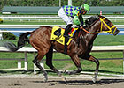 Wildcat Red Posts Bullet Breeze for Haskell Wildcat Red Posts Bullet Breeze for Haskell
