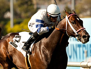 Wilkinson Colics, Will Miss Shoemaker Mile Wilkinson Colics, Will Miss Shoemaker Mile