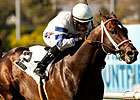 Wilkinson Colics, Will Miss Shoemaker Mile