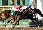 Wilkinson Enters Triple Crown Picture Wilkinson Enters Triple Crown Picture