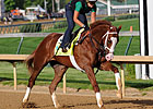 Podcast: Eclipse Awards 2013: Top 3-year-olds Podcast: Eclipse Awards 2013: Top 3-year-olds