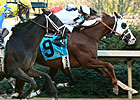 Will Take Charge Does So in Smarty Jones Will Take Charge Does So in Smarty Jones