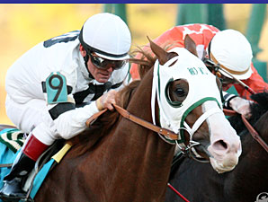 Lukas Weighs Options for Weekend Stakes Stars Lukas Weighs Options for Weekend Stakes Stars