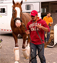 Lukas' Preakness Trio Arrives at Pimlico Lukas' Preakness Trio Arrives at Pimlico