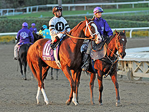 19 Nominated for Clark Handicap Nov. 29 19 Nominated for Clark Handicap Nov. 29