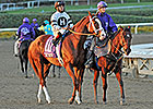 19 Nominated for Clark Handicap Nov. 29 19 Nominated for Clark Handicap Nov. 29